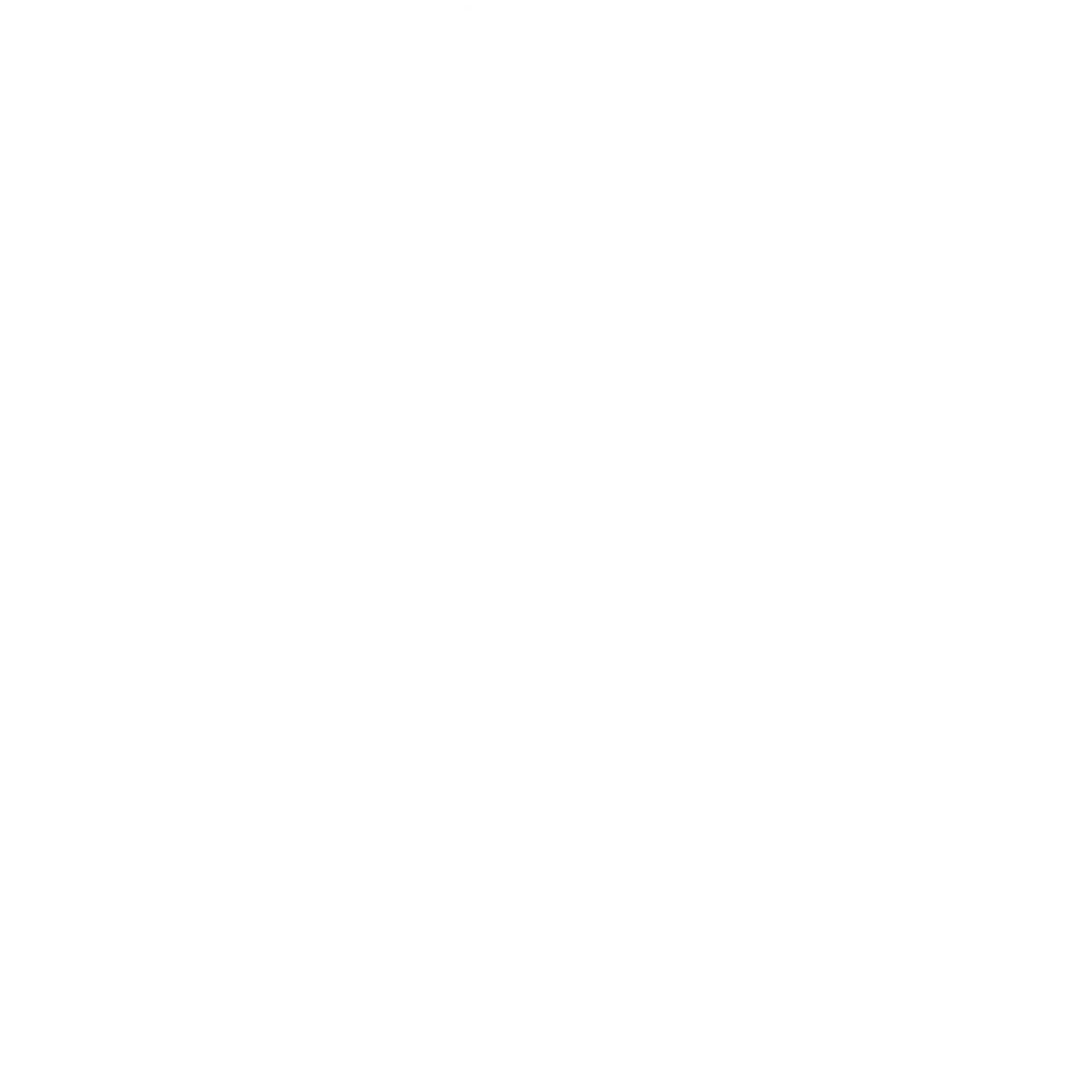 Tennessee Homemade Wines logo