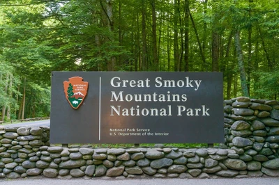 visiting the national park is one of the best things to do in the Smoky Mountains
